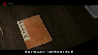 桑黄-颇具传奇色彩的治病良药