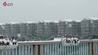 麻阳县罕见的雪景美丽风光  20181230