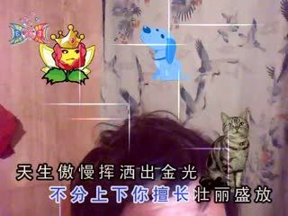 20150415225331765