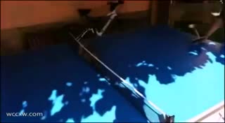 猫星人打乒乓球你见过没