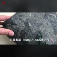 肖伟庭翡翠原石季27