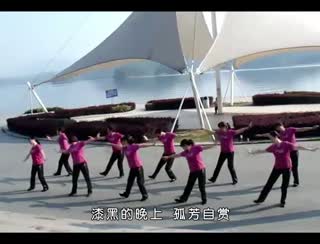 张可儿《美丽姑娘花一样》大连广场舞