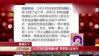2.9万拍巴厘岛婚纱照 野草黄牛入镜谛笑皆非