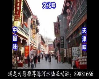 海河水陆互动游.mpg