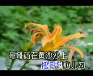 新走西口[雨音组合]