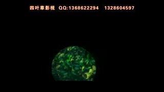 创意婚礼开场MV制作撼星光版预告片 江南style