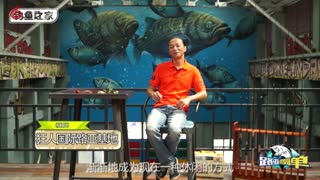 01 什么是路亚