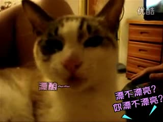 壹品网超代理项目的带领下一起为我们的明天摇旗呐喊吧!