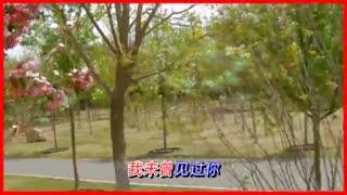 相聚音像词坛-伴奏