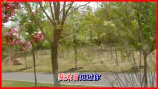 相聚音像词坛-大圣