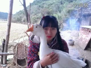 六间房甜美女主播东方不败哪聊天交友视频秀