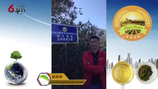 来昔归庄园一起看古树赏云海 18.01.09