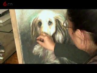 金毛萌宠色粉画