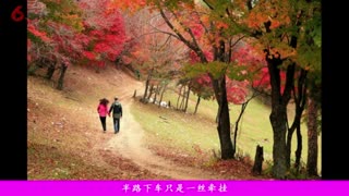 陈小奇《白云深处》