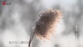 滑县历史文化地名篇 谢猛配音 梵曲配音