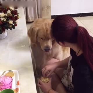 仔细看 流哈喇子了