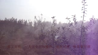 果哈哈果哈哈