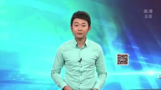 荷兰公布MH17空难调查报告