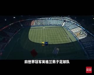 2014陪我去看巴西世界杯