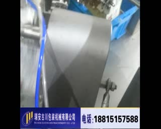 雪菜笋丝计量包装机