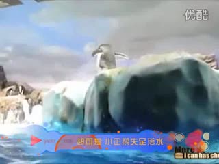 壹品网超第一保障幸福快乐