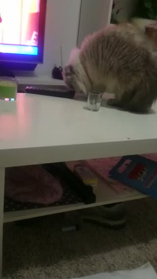 把东西推下去什么的最好玩了
