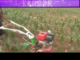 勇丰玉米田除麦茬机