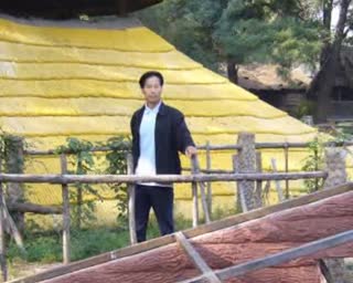 仿木大师的告白