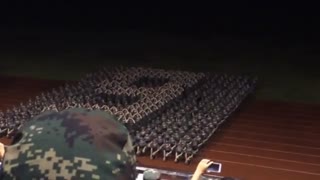 军事化管理牛