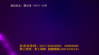 2013“魅力新野奥通福地名钻之夜”大型群星演唱会（宣传短片）