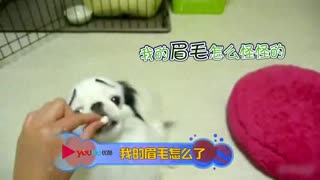 壹品网超，将成为网上购物的首选