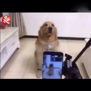 拍照片不要那么严肃 来笑一个