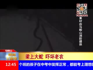 巨蛇盘踞房梁吓坏老农 消防官兵上门处置