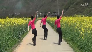 超正广场舞《小花》教学视频