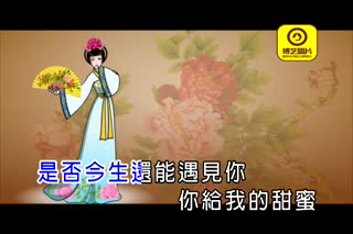 孙博-今世情缘(动画版)DVD