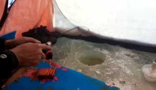 这鱼钓的没谁了