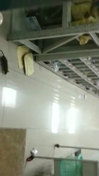 手机抓拍医院中药房变老鼠窝