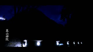 少林禅武医之嵩山内养功法易筋经洗髓经新版