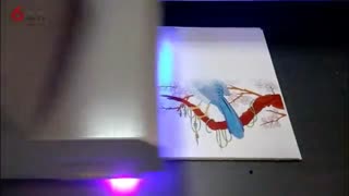uv白 彩 光油同时打印机