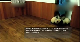 大话熊猫