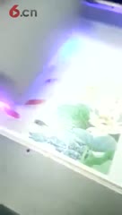 竹木纤维板打印