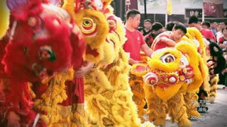 通许舞狮表演视频1823787/3866华夏龙狮团舞狮