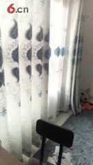 房间号9790-20170623093306881