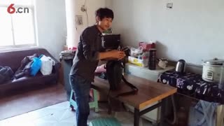 景观园林艺术的起点--走向世界续集上