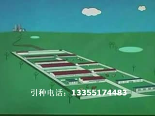 养牛挣钱吗？肉牛牛舍建设 牛舍建设与规划 新手养牛 牛舍技术