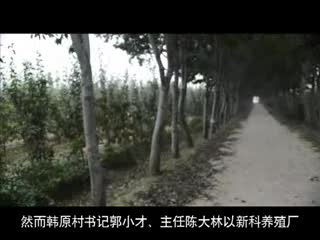 武陟县梨园纠纷