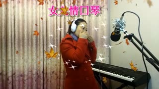 女儿情口琴
