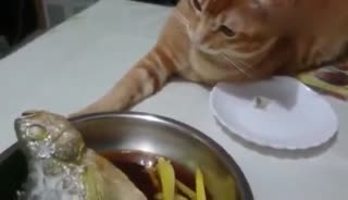 我就是摸摸