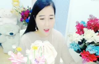 又回到《老地方》~阳光下的樱花瓣~