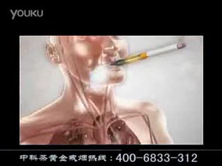 中科茶黄金具体有哪些优势_戒烟 标清